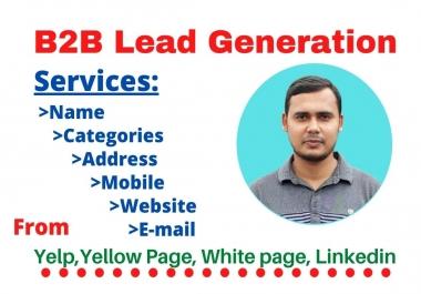 I will do b2b lead generation targeted email list, web scraping and web Research 10 leads