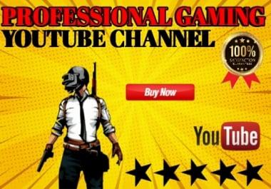 I will create a professional gaming channel