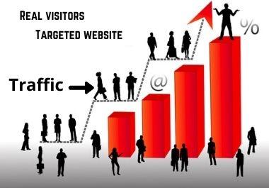 I will drive targeted organic web traffic, real visitors.