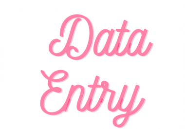 I will do fast typing and Data Enty