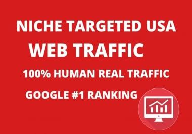 USA Targeted web traffic For Your Business
