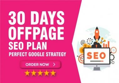 I will do monthly complete seo service for your website ranking 1st