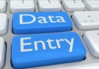 I will be your virtual assistant all your data entry work