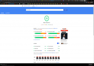 I will optimize wordpress website performance for Google Pagespeed