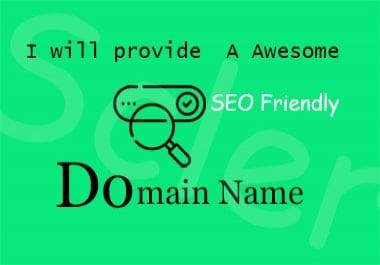 I will research and provide a awesome catchy business,  seo friendly domain name for you