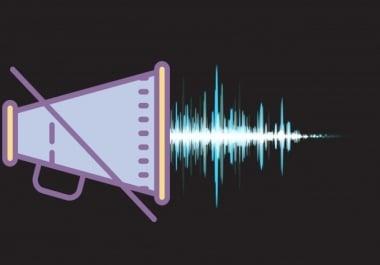 Make your audio clean of any distortions or unwanted sounds