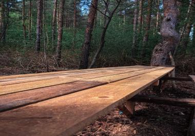 I will edit/retouch your photos and turn them in Pro