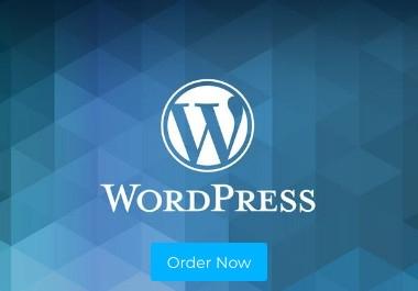 Create A Professional And High Quality Wordpress Website