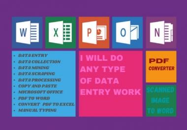 I will do data entry pdf conversion email scraping data extraction