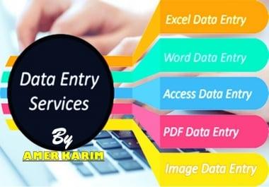 Data Entry Services MS Word,  MS Excel,  MS Access