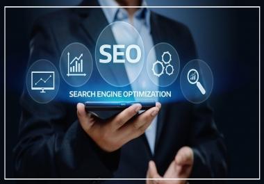 Do 25 High PA DA TF CF HomePage PBN Backlinks