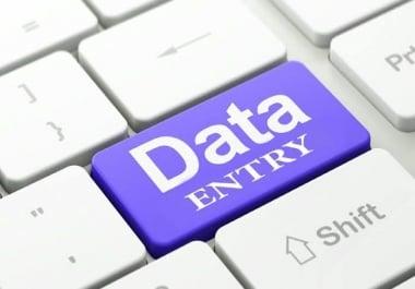 Data entry with profectional skills and techniques