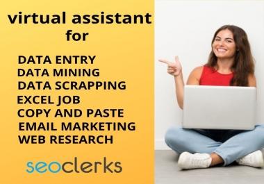I will be your virtual assistant for web research and data entry