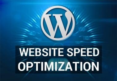 I will control website speed optimization