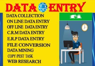 I Will do data entry,  data mining,  web research and copy paste