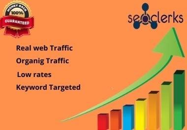 I will bring organic web traffic