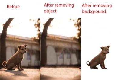 I will do background removing,  image resizing,  image retouching professionally any 15 image