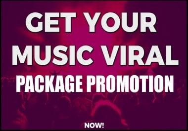 Targeted PACKAGE or BUNDLE music campaign to boost audience through SEO