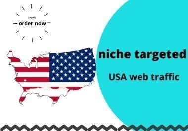 I will drive organic Niche targeted USA web traffic to your site