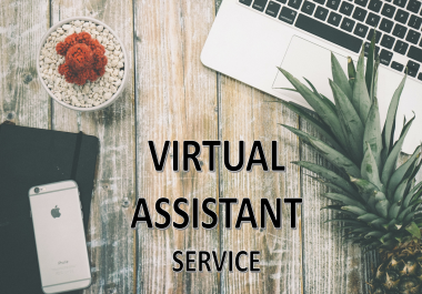 I will be your professional virtual assistant for Excel,  web research and Data entry