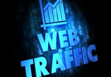 I will send 5,000 real USA web traffic to your website in 1 day