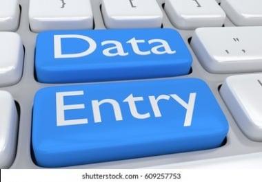 i will do all the data entry jobs at very low price as compare to others in market
