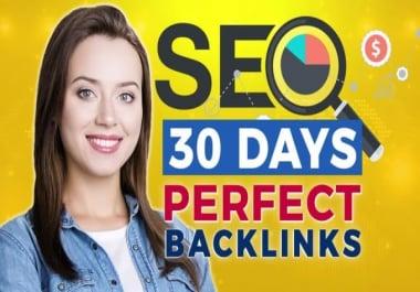 I will provide 30 high DR 50 plus PBN links with seo high quality backlinks