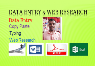I will provide any Data Entry job USA