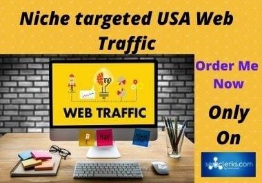I will collect Niche targeted USA web Traffic for you