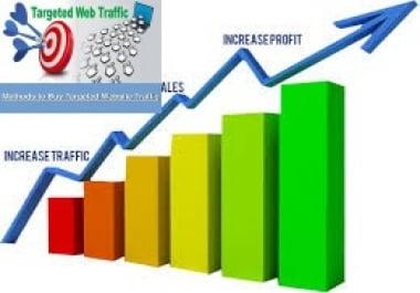 deliver 10000 + USA Real Web Traffic For your WEB site