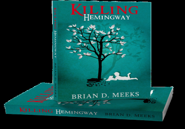 I will make a high quality ebook cover professionally in less than 24 hours