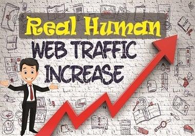 I will drive real human traffic for your website