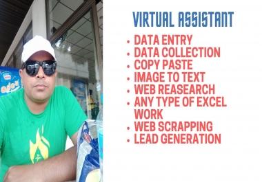 Data Entry, Data collection Copy Paste,  Web research, Email scrapping, Lead Generation