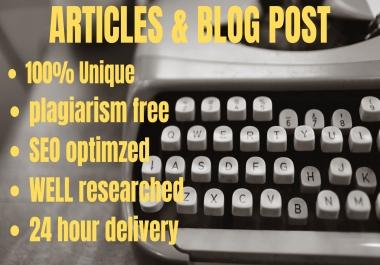 I will write SEO friendly articles,  blog posts and website content