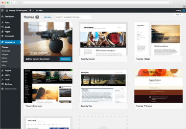 I will create your WordPress Theme