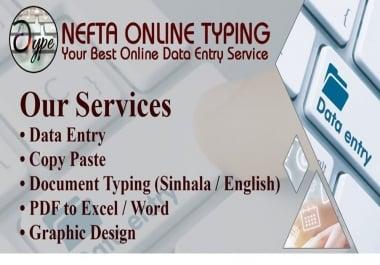 I will data entry,  data mining,  web scraping and copy paste