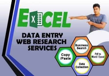 I will do excel data entry and web research