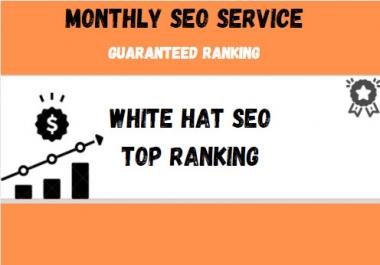 Provide a Complete monthly SEO Service With backlinks For Google Top Ranking