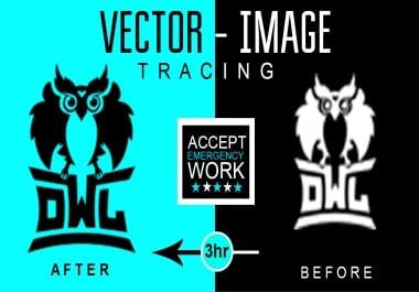 I will recreate,  remake,  redraw or redesign your logo in vector format