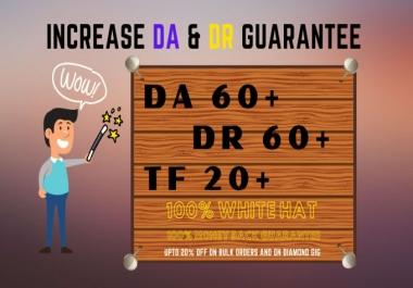 I will manually create 100 High Quality DA DR and TF of your domain