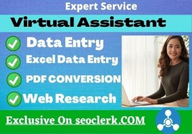 I will do Online or Ofline Data Entry,  Web Reserach, Copy and Paste As A VIRTUAL ASSISTANT