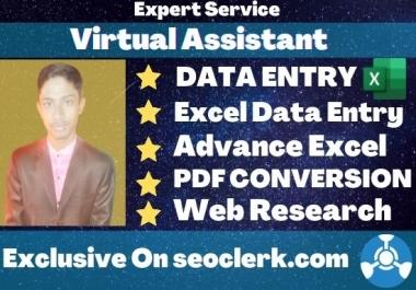 I will be your professional virtual assistant for excel data entry job