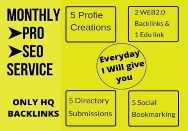 Monthly Pro link building service. I will give you per day high quality backlinks manually