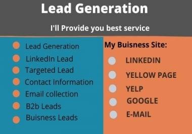 I will provide you targeted lead generation and b2b lead