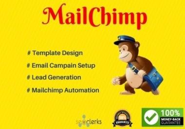I will do Email Marketing Manager on Mailchimp