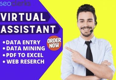 I will be your virtual assistant and do data entry,  web research for 3 hours