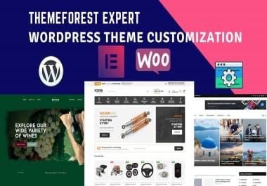 I will do any WordPress premium theme customization or any WordPress website