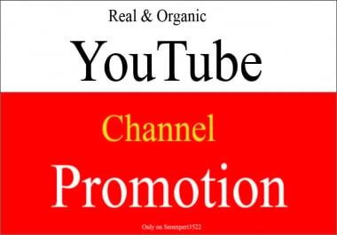 I will do super fast organic youtube vidoe promotion by social media marketing
