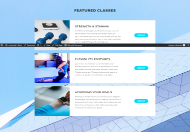 I will create professional business wordpress website or blog design