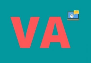 I will be your best Virtual assistant for data entry